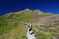 24h Hike Mammut_Ochsner 'Grosse Scheidegg _ Schwarzhorn 2927m' 18_08_2012 (50)